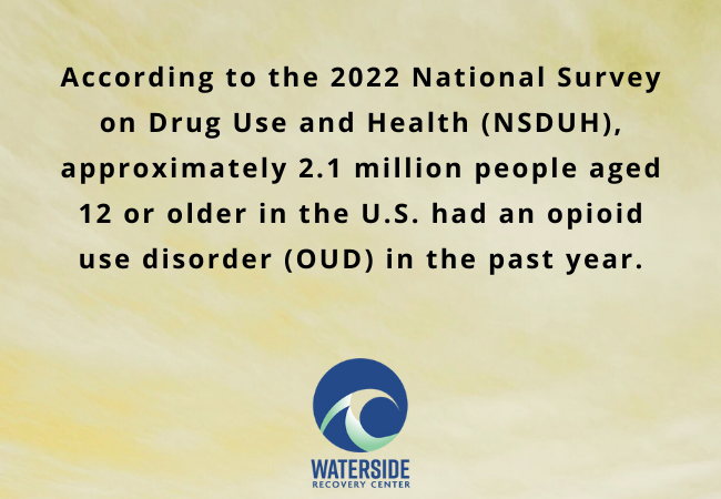 Long-Term Effects of Opiate Addiction & Why Early Treat. Matters